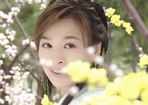 历史上真的有杨排风吗