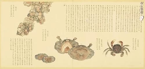水产动物志：《闽中海错疏》