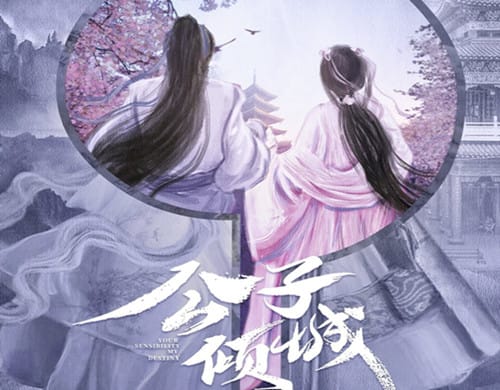 《公子倾城》是什么剧