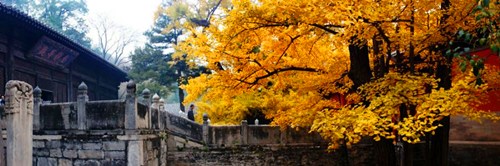 北京大觉寺八绝介绍