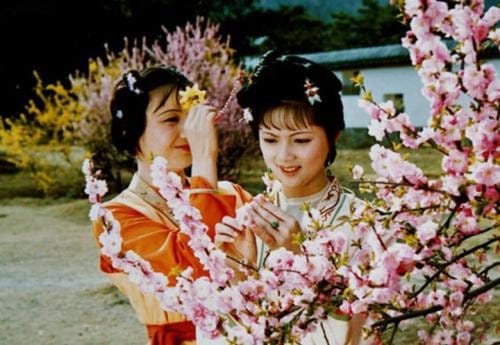 红楼梦饯花神是什么节气