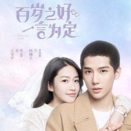 《百岁之好，一言为定》讲了什么