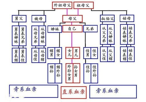 血亲包括哪些
