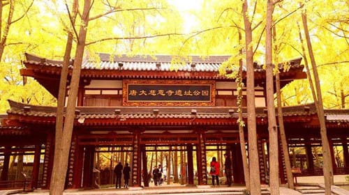 大慈恩寺是什么建筑