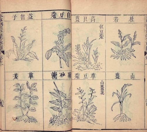 《本草纲目》：中医瑰宝 药物巨典