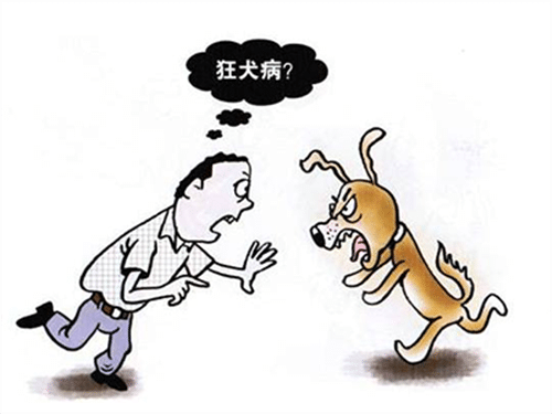 狂犬病有什么表现
