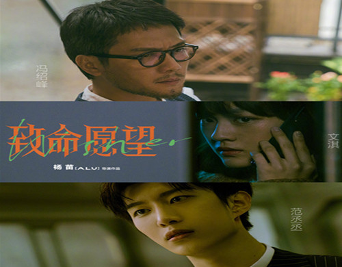 《致命愿望》讲了什么