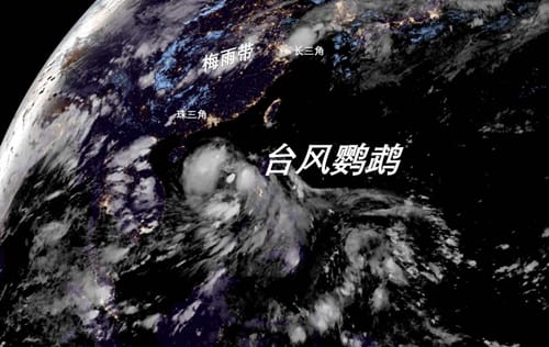 台风鹦鹉是什么