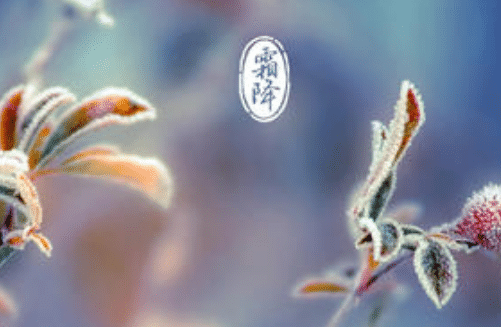 霜降赶禾黄是什么意思