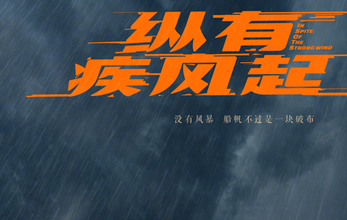 《纵有疾风起》什么小说改编