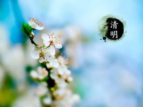 贾岛《清明日园林寄友人》原文译文赏析