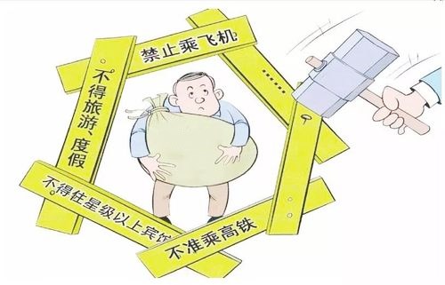 关于限制高消费的法律规定
