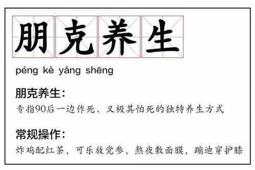 朋克养生什么意思