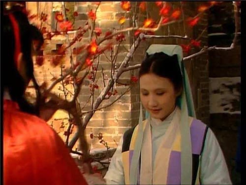 栊翠庵乞梅