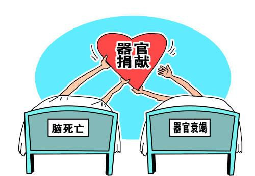 器官捐献是活体还是死亡后取