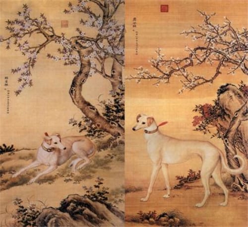 吃狗肉是伦理问题还是权利问题