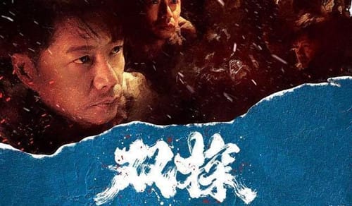 《双探》什么时候播