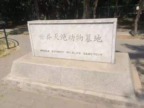 全球已灭绝的野生动物有多少