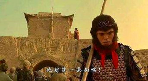 单身狗的起源