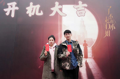 《了不起的D小姐》是什么剧