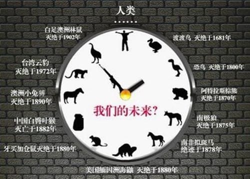 灭绝包含几种类别