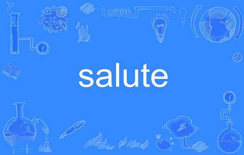 Salute是什么梗