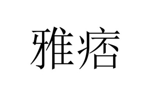 雅痞的含义