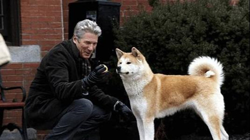 《忠犬八公的故事》剧情介绍