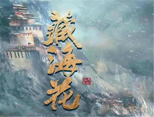 《藏海花》电视剧要拍了吗
