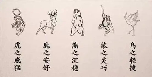 华佗的五禽戏是哪五禽