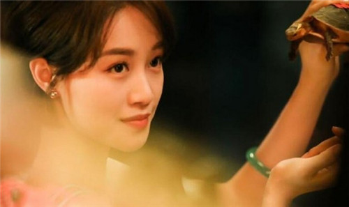 《婆婆的镯子》小说是什么