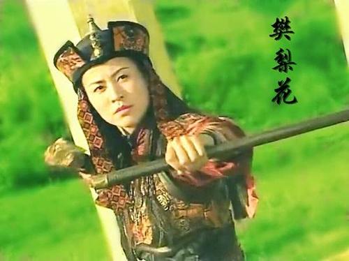 樊梨花挂帅讲了什么故事