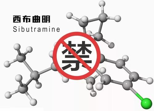 西布曲明是什么药