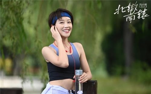 《北辙南辕》有原著小说吗