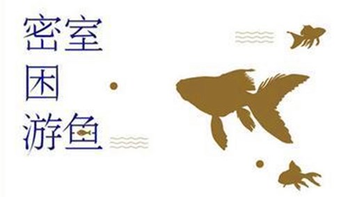 《密室困游鱼》内容介绍