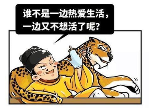 朱厚照为什么庙号武宗