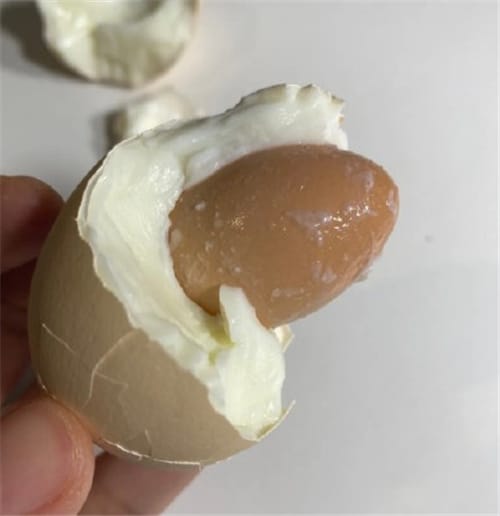 鸡蛋里为什么还有个鸡蛋