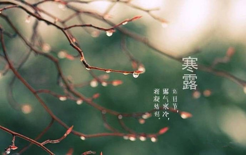 寒露有哪些风俗