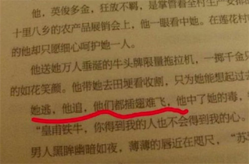 她逃他追他们都插翅难飞是什么梗