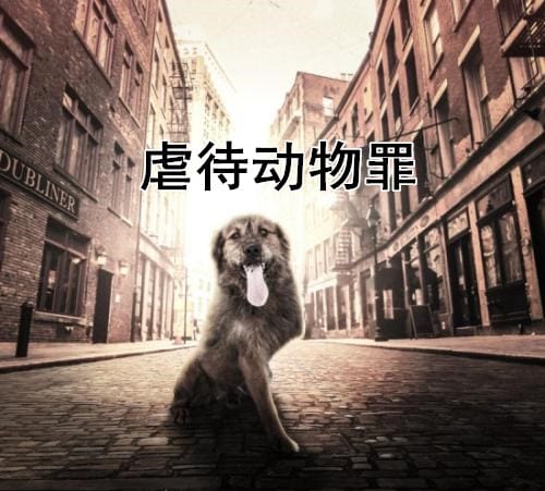 虐待动物是犯罪吗
